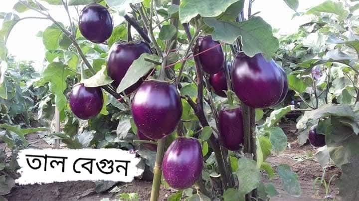 WhatsApp-Image-2025-01-21-at-21.37.38_a15b4ffb.jpg